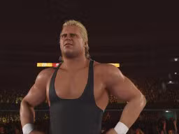 wwe 2k24 mr perfect