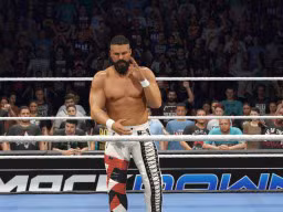 wwe 2k25 andrade