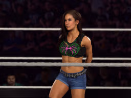 aj lee 15