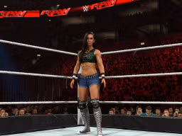 aj lee 15