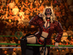 wwe 2k26 flammer