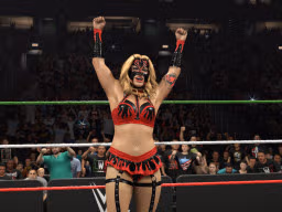 wwe 2k26 flammer