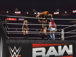wwe2k26 battle royal