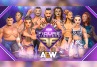 AEW: Figure Fighters