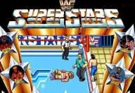 Wwf superstars 1989