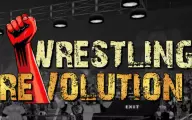 Wrestling Revolution 3D Shows Guide & Match List