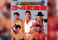 Zen-Nippon Pro Wrestling 2: 3-4 Budoukan