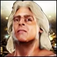 Ric flair