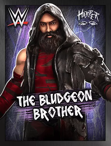 Luke Harper - WWE Champions Roster Luke Harper - WWE Champions Roster
