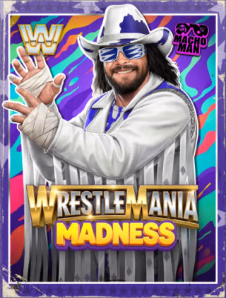 Randy Savage '91 Randy Savage '91
