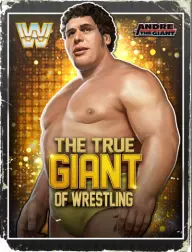 Andre the giant 86