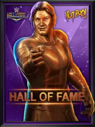 Hall of famer roddy piper