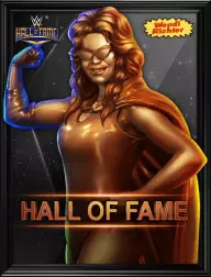 Hall of famer wendi richter