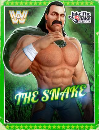 Jake Roberts