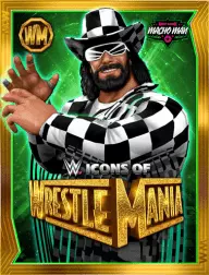 Randy savage iowm