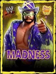 Randy savage madness