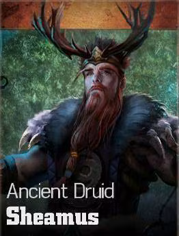 Sheamus (Ancient Druid)