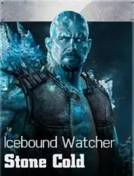 Stone cold  icebound watcher