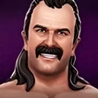 Jake Roberts