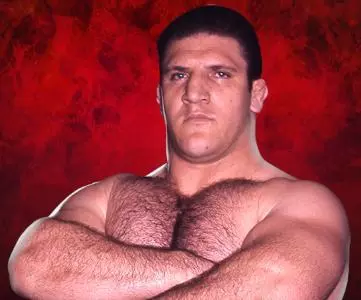 Bruno Sammartino - WWE Universe Mobile Game Roster Profile