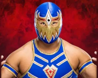 Gran Metalik - WWE Universe Mobile Game Roster Profile