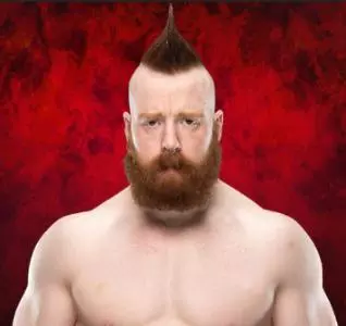 Sheamus - WWE Universe Mobile Game Roster Profile