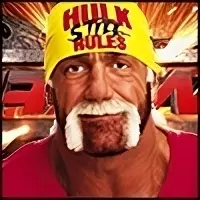 Hulk hogan