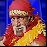 Hulk hogan