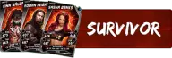 Survivor Cards (74)