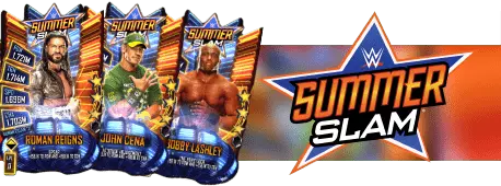 Summerslam 21 catalog