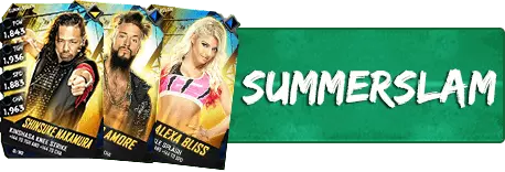 Summerslam catalog