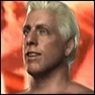 Ric flair