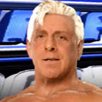 Ric Flair