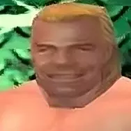 Mr ass billy gunn