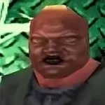 Viscera