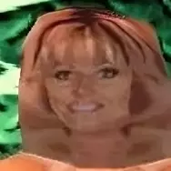 Terri runnels