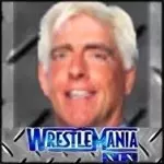 Ric Flair Ric Flair