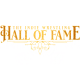 Indie Hall of Fame: Groups