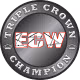 ECW Triple Crown Champion