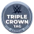 WWE Tag Team Triple Crown Champion