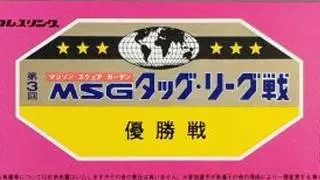 NJPW The 3rd MSG Tag Team League Finals