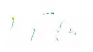 WWE LFG WWE LFG