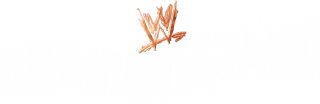 WWE One Night Stand 2008: Logo WWE One Night Stand 2008: Logo