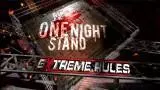 One night stand 2008