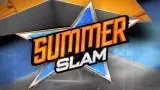 Summerslam 2013