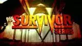 Survivor series 2013