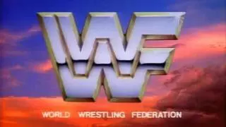 WWF WrestleFest 1988
