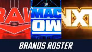 WWE Current Roster by Brand (Raw, SmackDown, NXT)