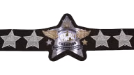 Goddesses Of Stardom Championship