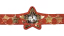 World Of Stardom Championship